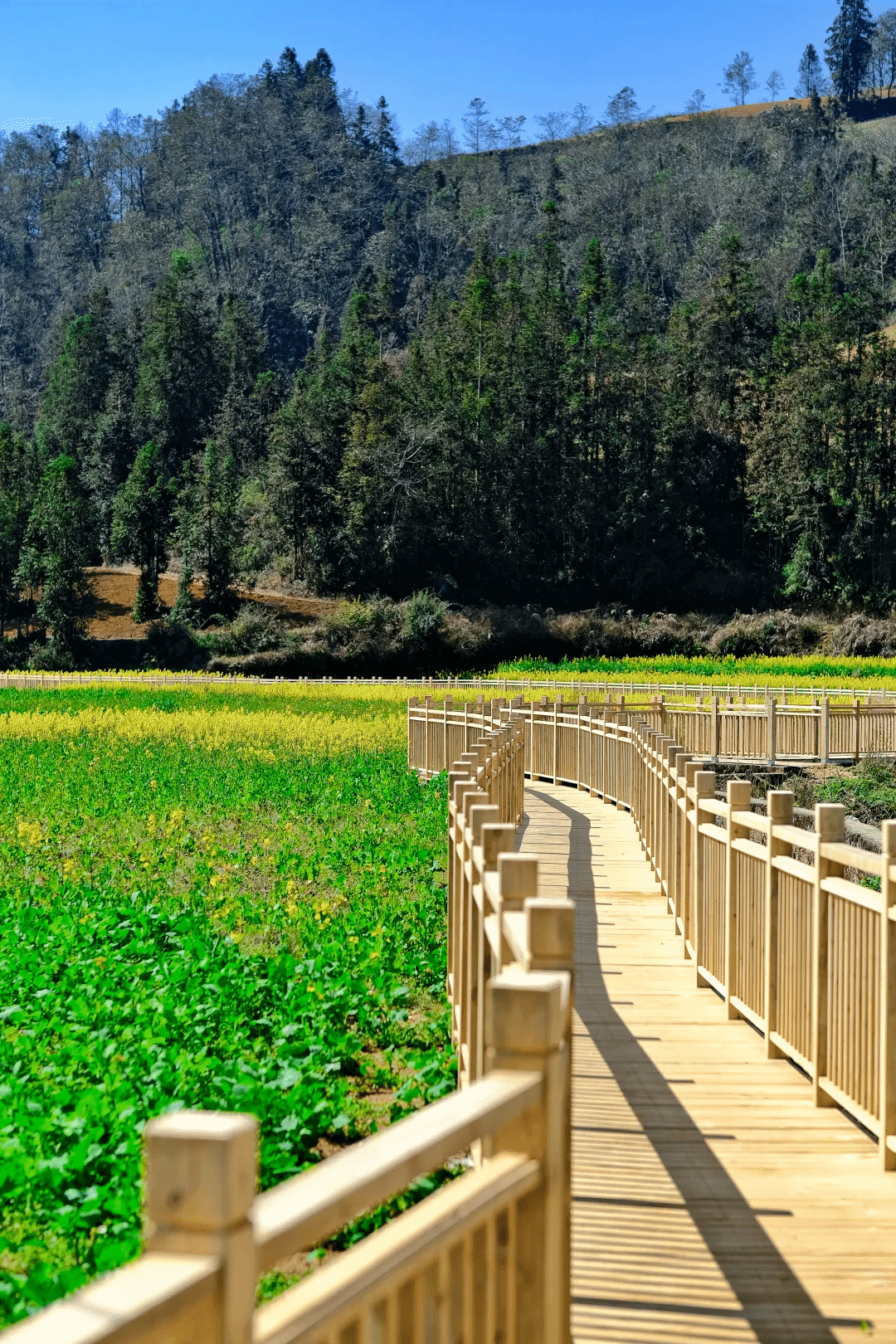 瓦力游戏| 首页 -瓦力出品,必属精品