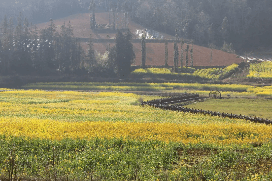 瓦力游戏| 首页 -瓦力出品,必属精品